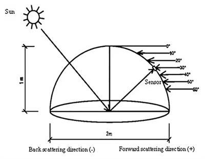 Estimations of Water Use Efficiency in Winter Wheat Based on Multi-Angle Remote Sensing